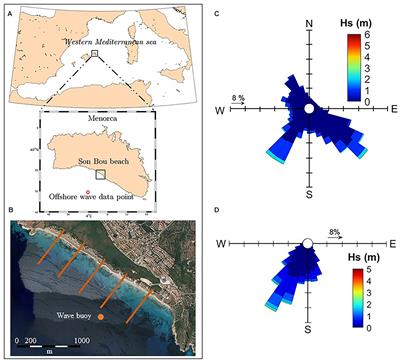 Assessing Beach and Dune Erosion and Vulnerability Under Sea Level Rise: A Case Study in the Mediterranean Sea